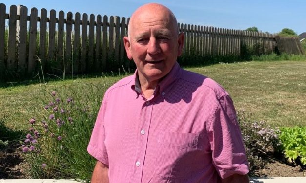 Alpacas Helping Hand At Bonner’s Free Christmas Tree Recycling Event At THE PILLO HOTEL