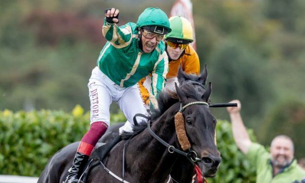 Frankie Banks on Field Of Dreams in The Sussex