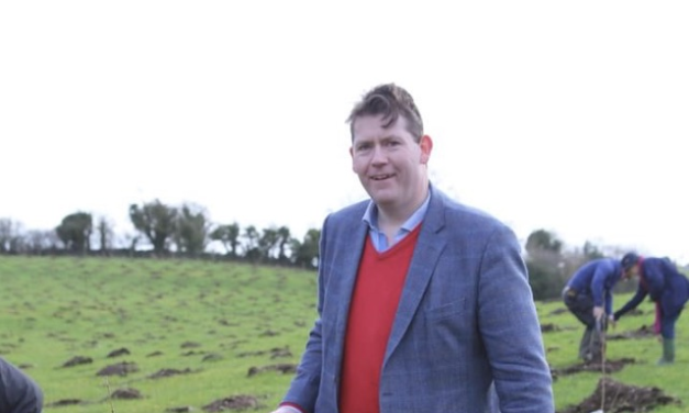 Former councillor to be arraigned on theft charges