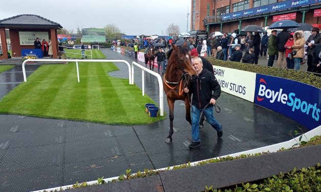 Fairyhouse Racecourse: Preview and Tips for Wednesday’s Seven-Race Meeting