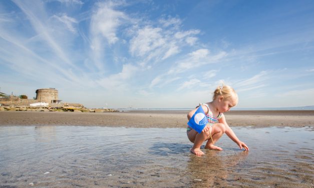 Think Blue Flag and Flush to Protect Beaches in County Meath