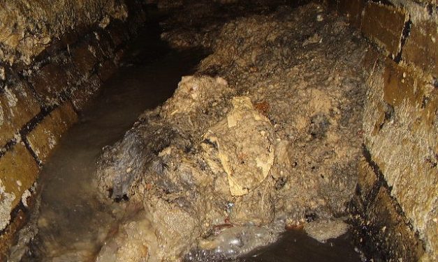 ‘Think Before You Pour’ when disposing of Fats, Oils and Grease Warns Uisce Éireann