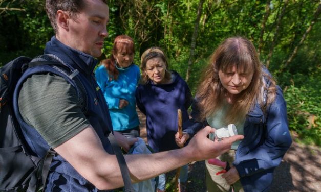 Have Your  Say on New Action Plan for Nature