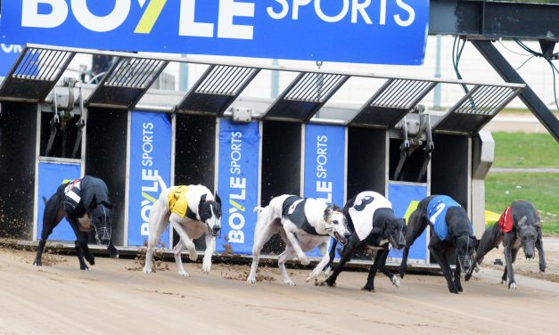 Boyles Derby Semi-finals Tonight at the Ringsend Track