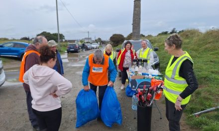 200 Volunteers in Meath Remove Litter During Big Beach Clean 2025