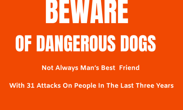 31 dog attacks on people in Meath in 3 years