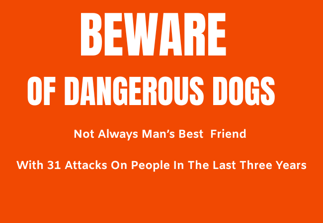 31 dog attacks on people in Meath in 3 years