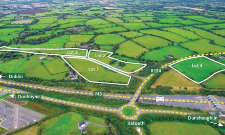 Approx. 43.4 acres with two residences and outbuildings (in lots) Near Dunboyne