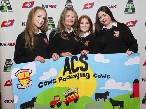 Meath Students that Exhibited at Irish Angus Schools Competition