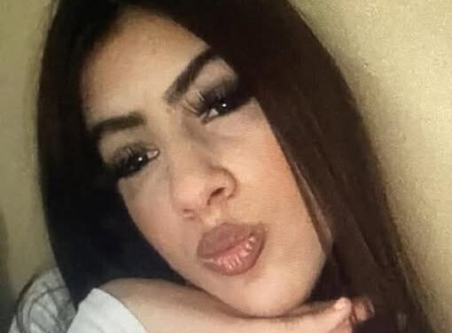 Missing Person Appeal – Hermina Demeterova, 13 Years, Stamullen, Co. Meath, 1st March 2026