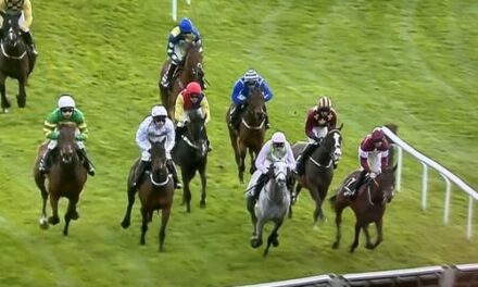 Ruby’s Thoughts & Tips Day & Cheltenham Gold Cup Day