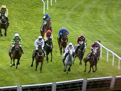 Ruby’s Thoughts & Tips Day & Cheltenham Gold Cup Day