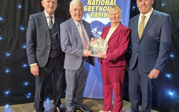 Dunboyne’s Yvonne Barry Honoured with Special Merit Award