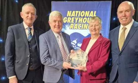Dunboyne’s Yvonne Barry Honoured with Special Merit Award
