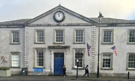 Man Remanded On Garda Car Ramming In Special Sitting In Trim Today