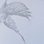 A murmuration of words at the Solstice