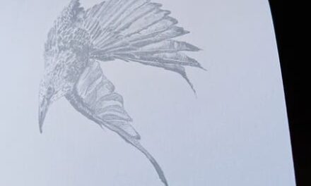 A murmuration of words at the Solstice