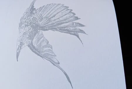 A murmuration of words at the Solstice