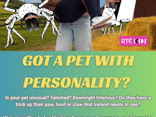 THE BIG PET PROJECT IS LOOKING FOR YOUR AMAZING ANIMALS IN MEATH