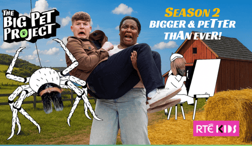 THE BIG PET PROJECT IS LOOKING FOR YOUR AMAZING ANIMALS IN MEATH