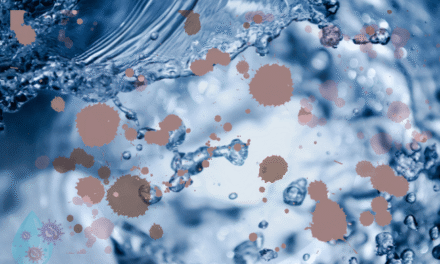 Living In A Home That Stinks With Foul Smelling Water