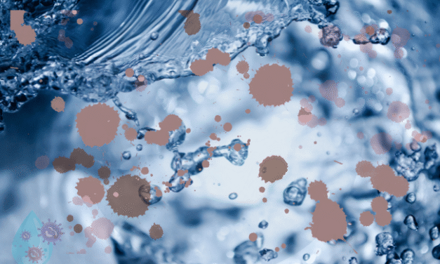 Living In A Home That Stinks With Foul Smelling Water