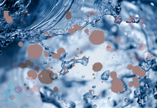 Living In A Home That Stinks With Foul Smelling Water