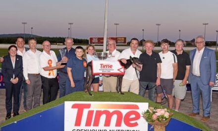 Record Breaker Ballycowen Frank Stamps His Class at International