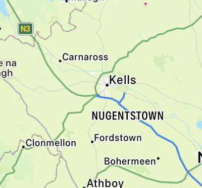 Young Man (19) Dies in Hit & Run Near Kells