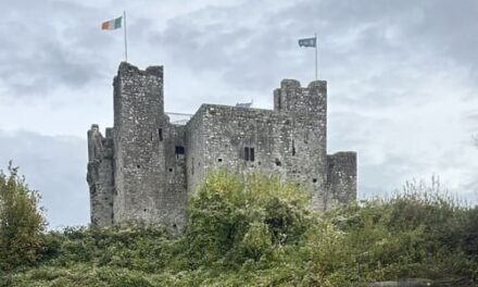 Euro a Winner as Trim Ticket Lands Lucky Player €500,000