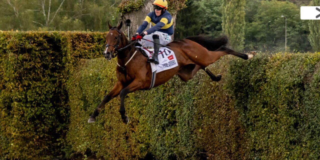 That’s What You Call A Fence