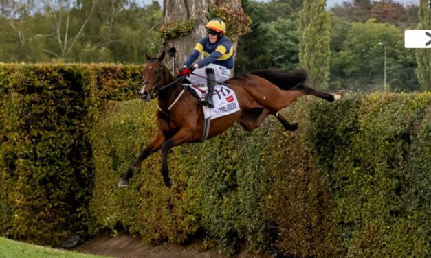 That’s What You Call A Fence