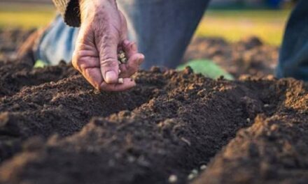 Nearly 3,000 Meath Farmers To Benefit from Eco-Scheme